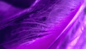 为什么没有国旗是紫色的