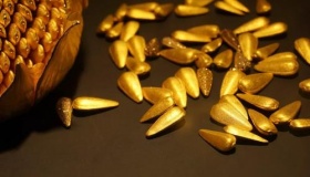 古代皇帝赏赐的金瓜子有什么用处