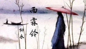 柳永雨霖铃是写给谁的