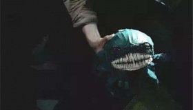 尸鳖没食物的情况下可以活过百年