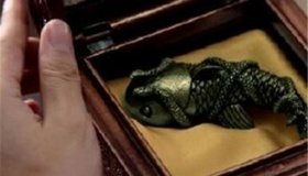 蛇眉铜鱼的秘密是什么