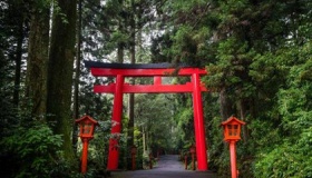 日本的鸟居是什么意思