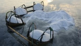 古代买不起盐的穷人用什么炒菜