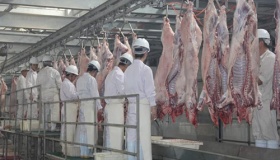 欧洲人杀生畜为什么不放血