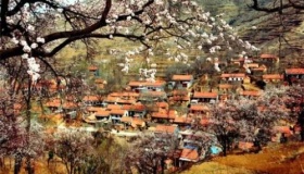 杜牧笔下的杏花村到底在哪