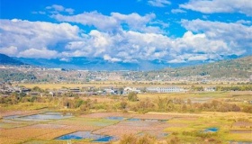 中原文化对历史文化有多大的影响