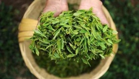 茶在古代有哪些称呼