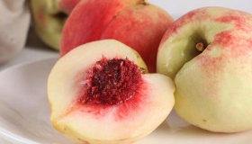 西游记中的四大长生不老药