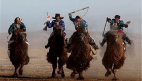 为什么蒙古族有养驼的习俗