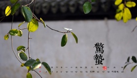 2020年惊蛰是几月几号