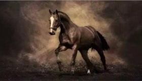 中国古代十大名马排行榜