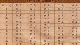 庚子年是什么意思