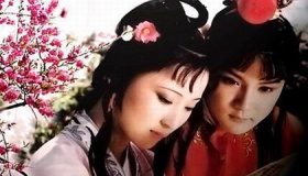 红楼梦里贾宝玉最爱谁