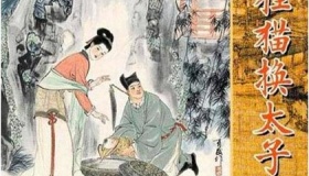 狸猫换太子背后的主谋是谁