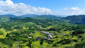 生活感悟经典句子盘点