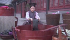 辛者库简介 辛者库是什么意思