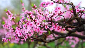 春天是几月到几月