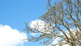 春天像什么的比喻句