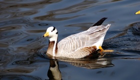 春天来了造句30句