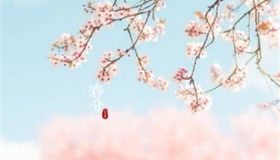 春分是什么意思