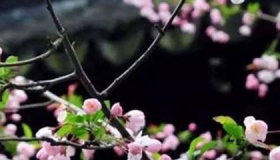 春分的由来是什么