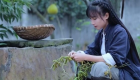 李子柒的详细资料