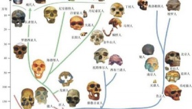 中国各省各地人种长相基因大全