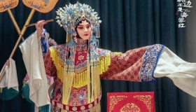 鬓边不是海棠红剧情演员介绍