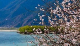 2020年全年天气预测