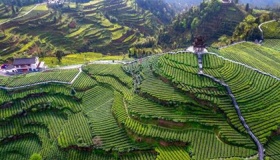 湖北气候类型和特征