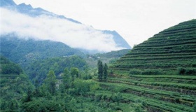 湖北有哪些城市