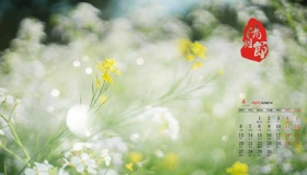 2020年4月为什么可以过两次生日