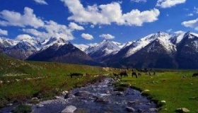 西域是什么时候被纳入版图的