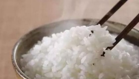 馒头和米饭哪个容易发胖