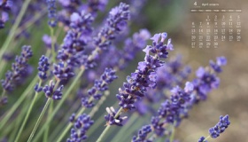 2020年4月的节日都有哪些