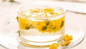 哪些人不能喝菊花茶