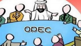 石油输出国组织是什么类型的国际组织