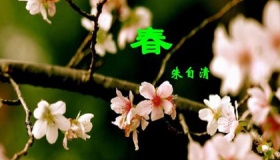 朱自清的《春》原文赏析