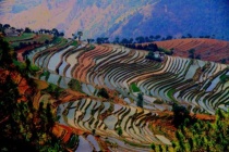 四川人口2019总人数