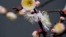 春天是养生最佳时期