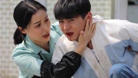 绽放吧百合剧情演员介绍