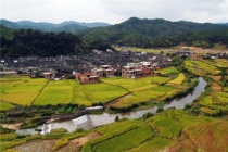 福建人口2019总人数