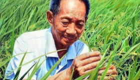 袁隆平海水稻目标