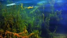 水下古城是怎么形成的