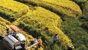 有关农业生产的谚语有哪些