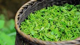 中国的十大名茶分别是什么
