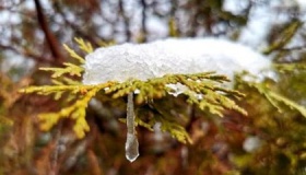 四月下雪正常吗