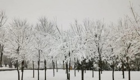 描写四月下雪的诗句