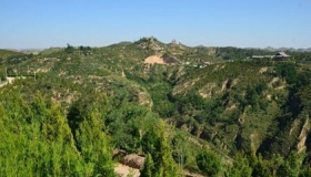 毛乌素沙漠治理现状