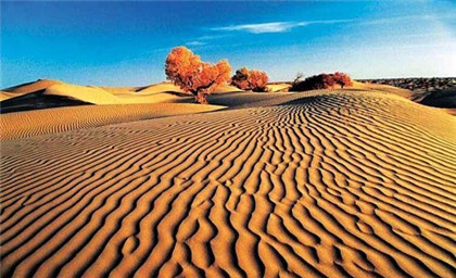 中国八大沙漠四大沙地是哪些